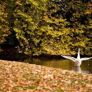 Meet your Posher, Abbott